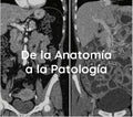 Pack 2 Atlas + BONUS Atlas de la Anatomía a la patología